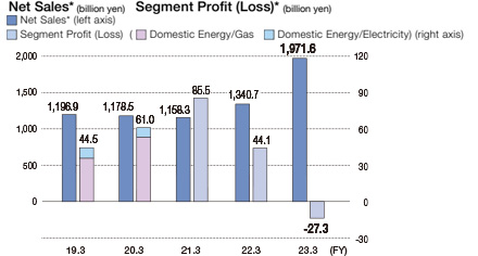Net Sales/Segment profit