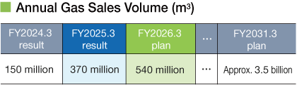Annual Gas Sales Volume(m³)