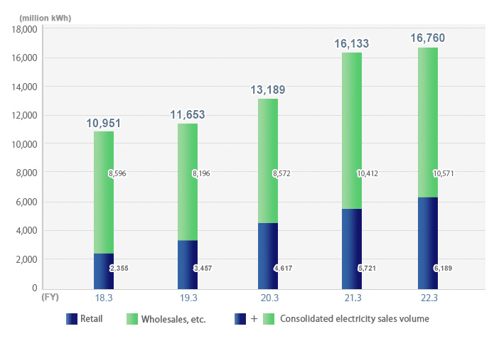 Domestic electricity sales volume