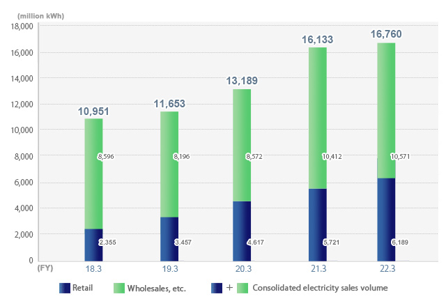 Domestic electricity sales volume