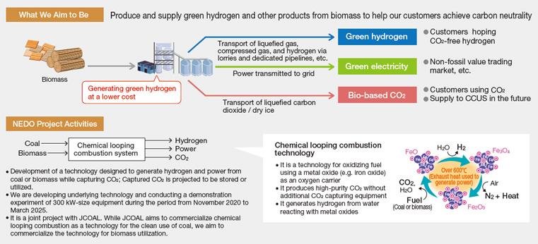 Chemical Looping Combustion Technology
