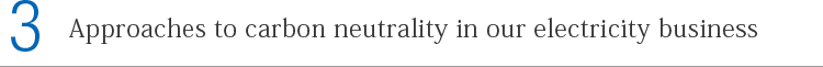 Approaches to carbon neutrality in our electricity business