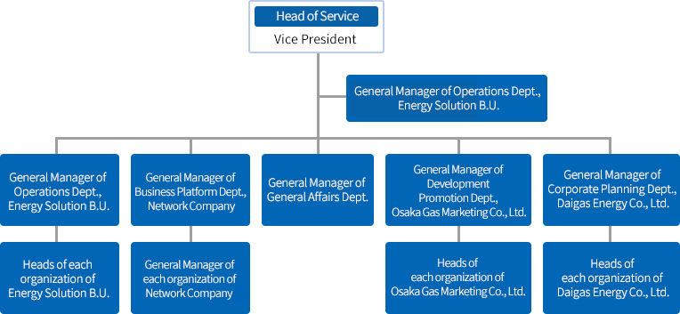 CS Operations Structure