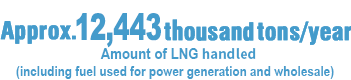 Approx. 10,575thousand tons/year Amount of LNG handled (including fuel used for power generation and wholesale)