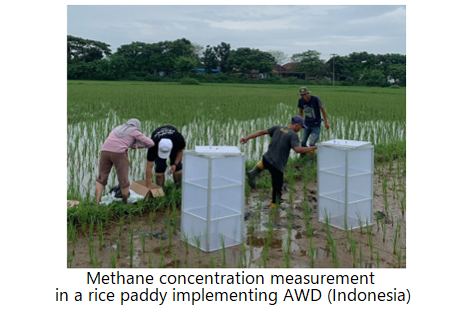 Provision of Biodiversity Assess...
