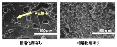 プロジェクトの命運を握っていた生分解性ごみ袋