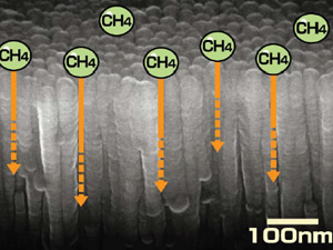 電子顕微鏡で見た、メタン高感度酸化スズ薄膜の断面