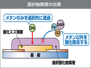 選択触媒層の効果