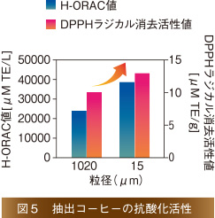 図5　抽出コーヒーの抗酸化活性