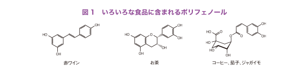 図1 いろいろな食品に含まれるポリフェノール