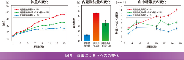 図6 食事によるマウスの変化