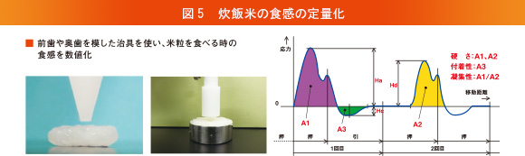図5 炊飯米の食感の定量化
