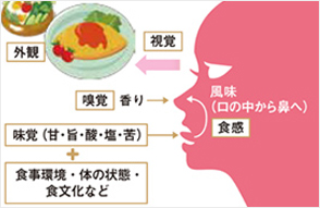 第1号 / 第1回 おいしさは、複合感覚