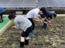 Rice planted only by volunteer staff due to the declaration of a state of emergency