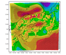 Example of weather simulation (wind velocity)