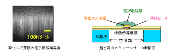 酸化スズ薄膜の電子顕微鏡写真　超省電力メタンセンサーの断面図