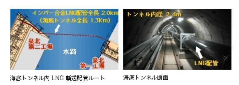 海底トンネル内 LNG 輸送配管ルート　海底トンネル断面