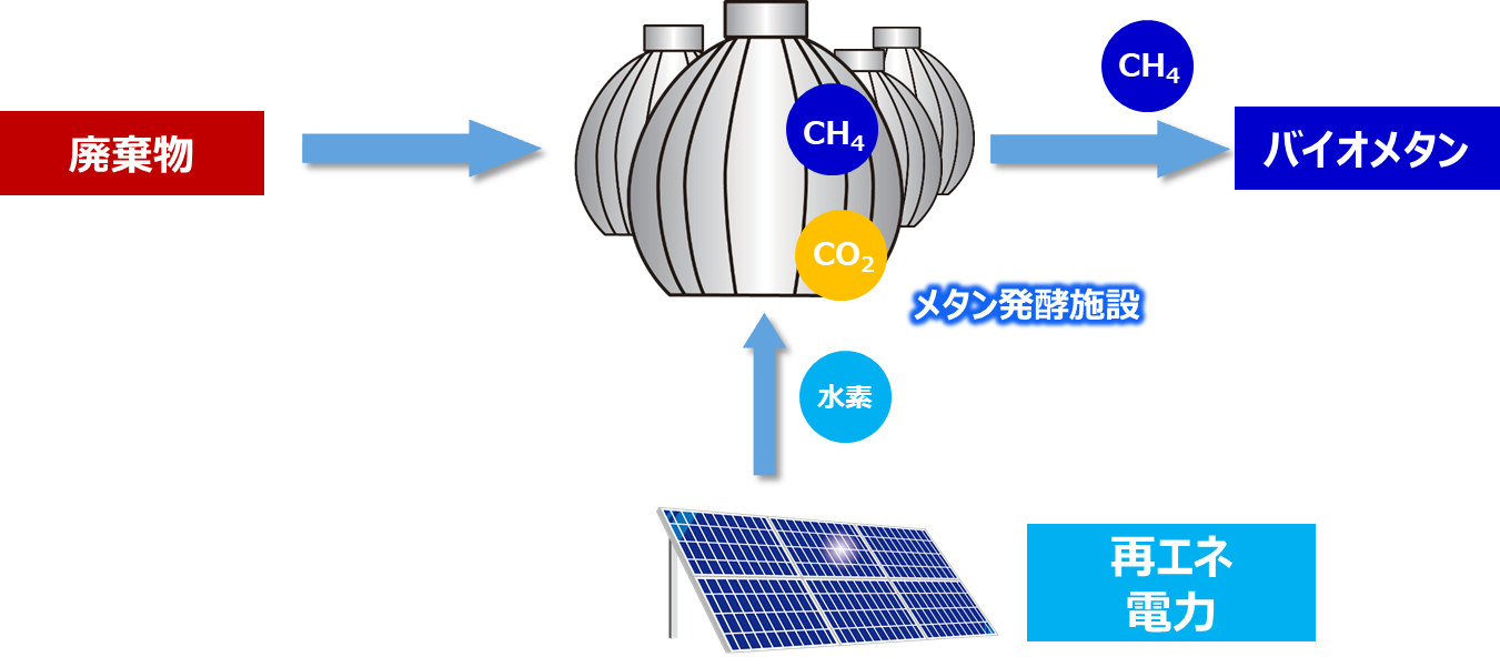 バイオガス中の未利用CO2の有効利用を目指したバイオメタネーション技術の開発