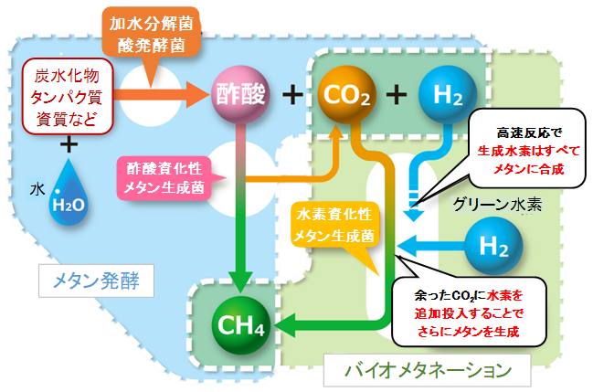 メタン発酵のフロー略図