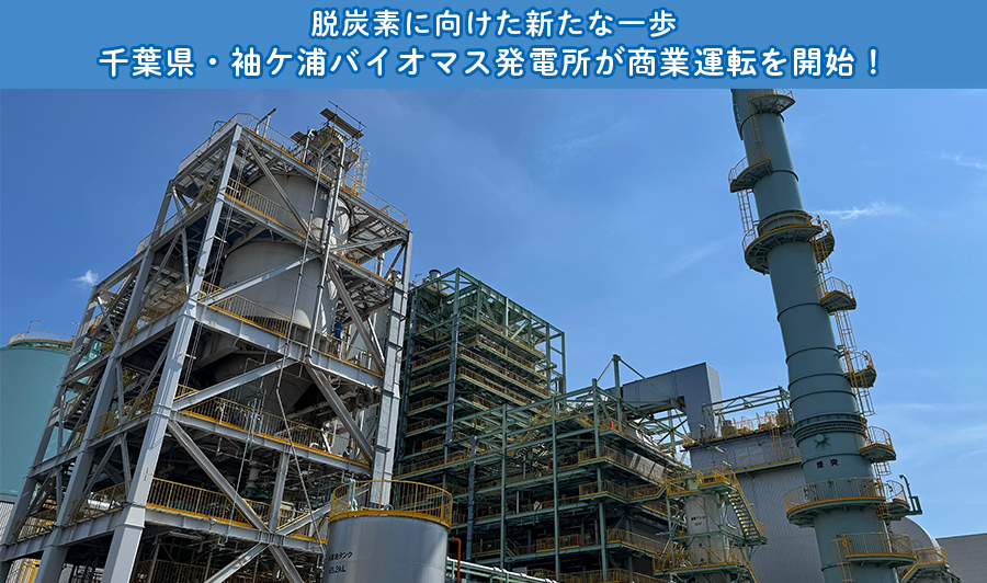 千葉県・袖ケ浦バイオマス発電所が商業運転を開始！