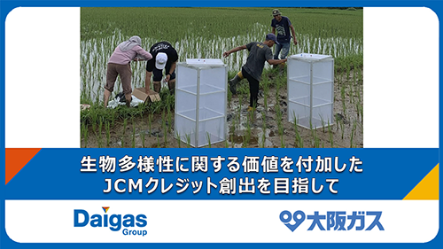 インドネシアにおける水田由...