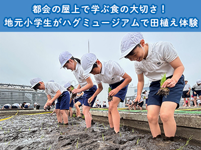 地元小学生がハグミュージアムで田植え体験！