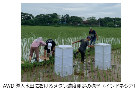 インドネシアにおける水田由来メタン排出削減プロジェクトへの生物多...